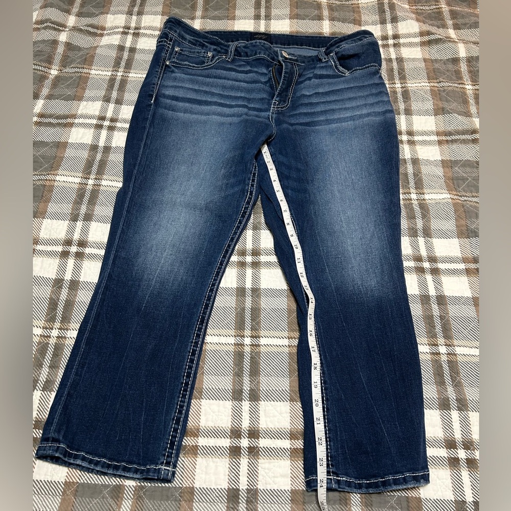 Daytrip Virgo Indigo Straight Leg Jeans